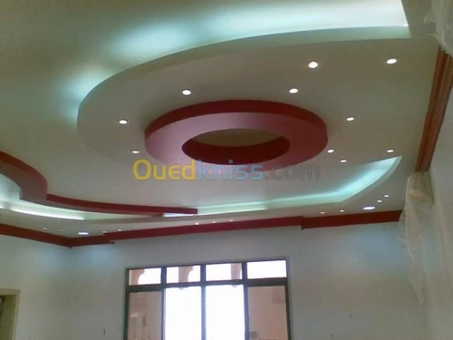 Placoplatre faux plafond BA13 et PVC