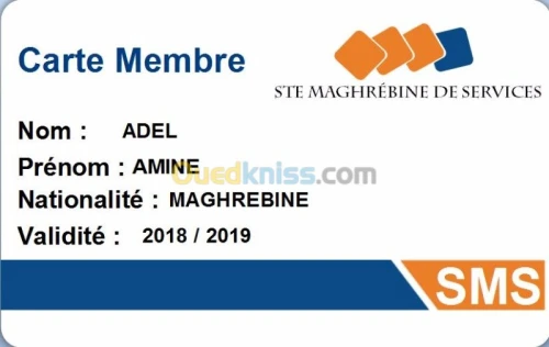 IMPRESSION SUR CARTES EN PVC (Badges)