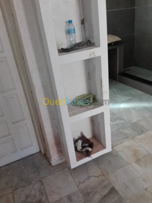  PLACOPLATRE DECORATION MODERNE 