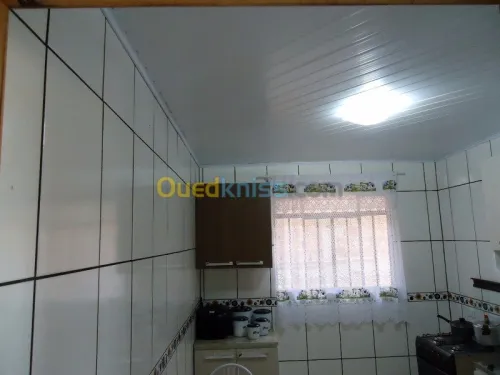 pose placo plâtre, PVC, plaques 60x60