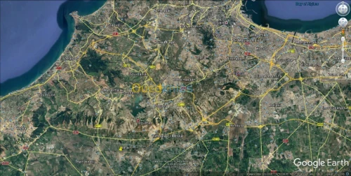 Vente Terrain Alger Tessala el merdja