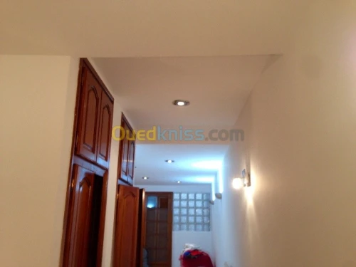 Tout travaux placo plâtre B13 alumini 