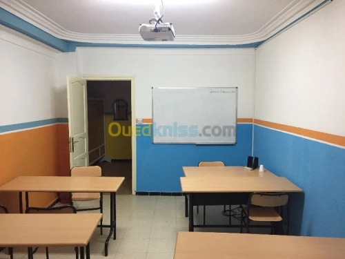 Enseignement des langues