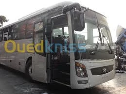 Transport Bus/Mini Bus/Van & Location 