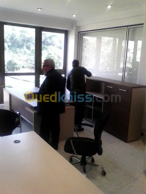 DEMENAGEMENT PARTICULIER ENTREPRISE--