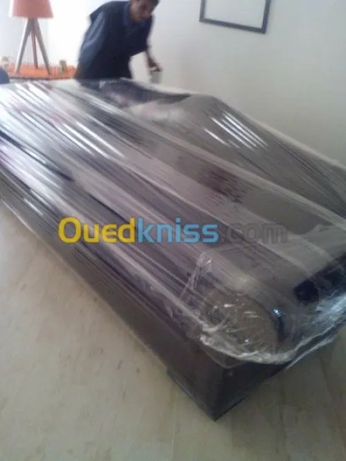 DEMENAGEMENT PARTICULIER ENTREPRISE--