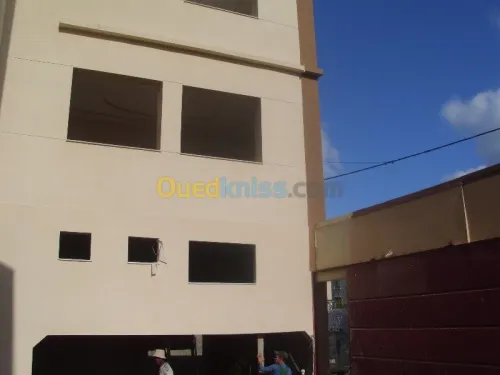 Peinture, Monocouches, Façades