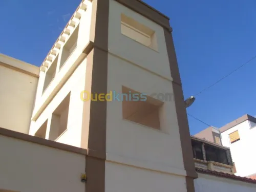 Peinture, Monocouches, Façades