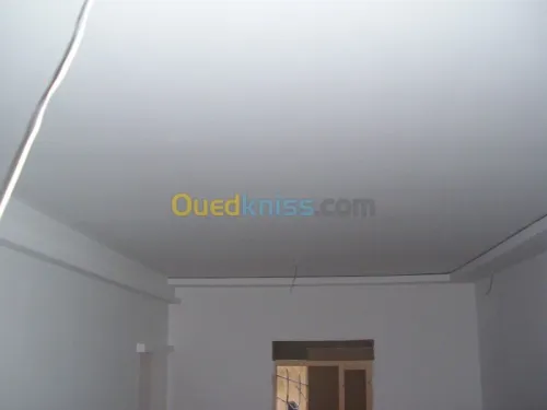 Peinture, Monocouches, Façades
