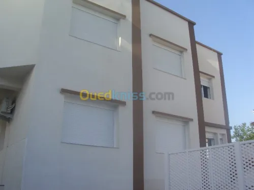 Peinture, Monocouches, Façades