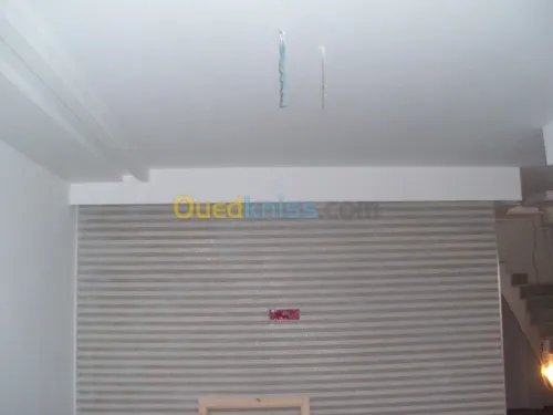 Peinture, Monocouches, Façades