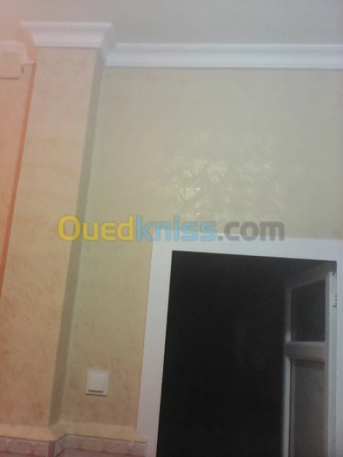 peinture décorative 