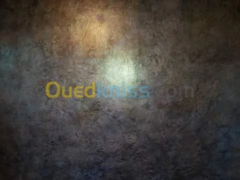 peinture décorative 