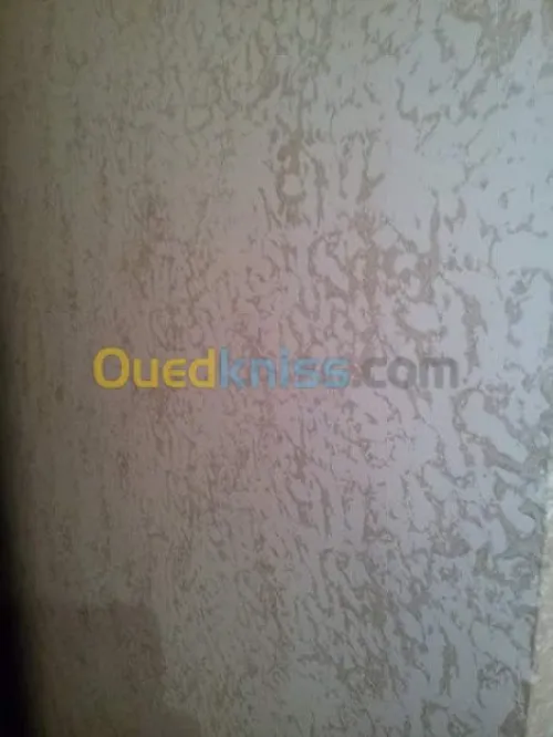 peinture décorative 