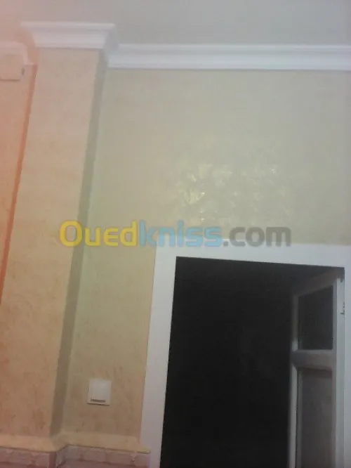 peinture décorative 