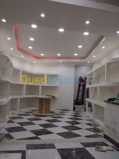 Placo plâtre BA13
