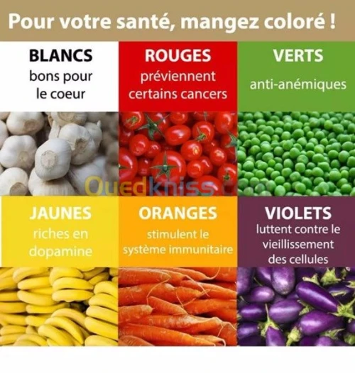 Nutrition et traitement de l'obésité