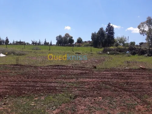Echange Terrain Chlef Chlef