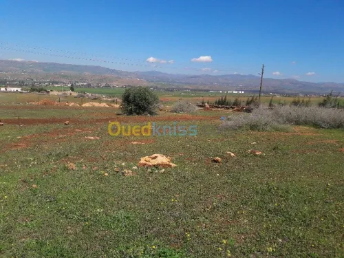 Echange Terrain Chlef Chlef