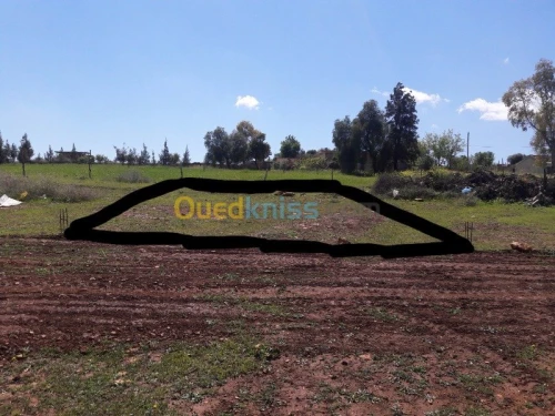 Echange Terrain Chlef Chlef