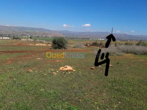 Echange Terrain Chlef Chlef