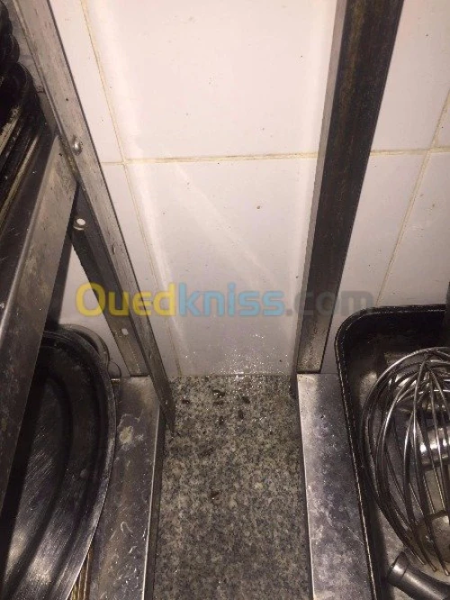 Insecticides professionels