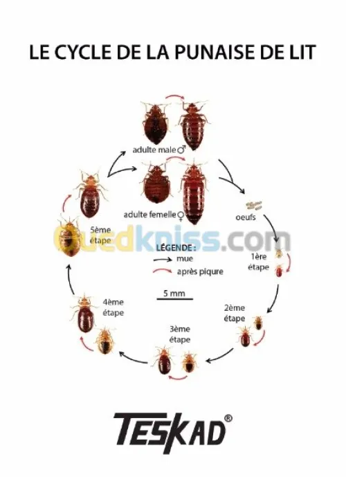 Insecticides professionels