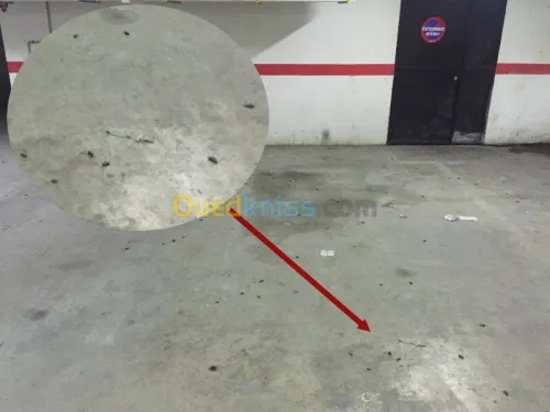 Insecticides professionels