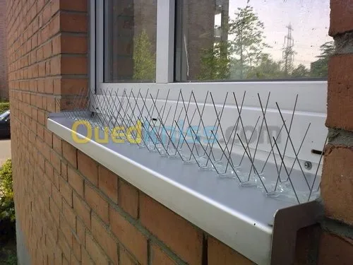 Lutte contre volatiles 