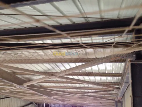 Lutte contre volatiles 