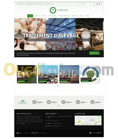 تصميم مواقع انترنت ,استضافة و SEO مجاني