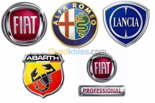 specialiste en maintenance Fiat