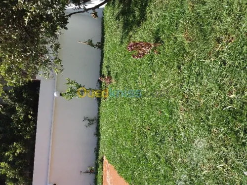 aménagement dès espaces verts