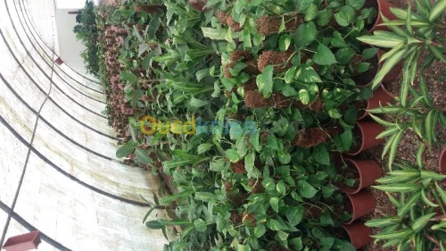 aménagement dès espaces verts