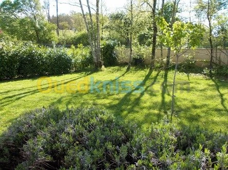 aménagement dès espaces verts