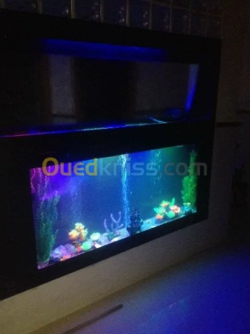 Décoration aquatique 
