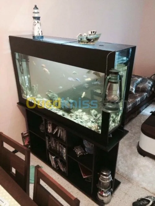 Décoration aquatique 