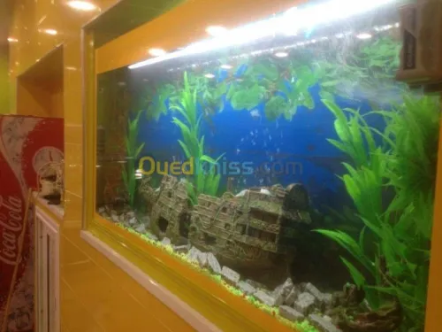 Décoration aquatique 