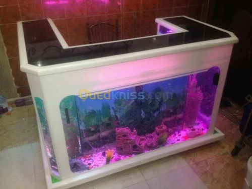 Décoration aquatique 