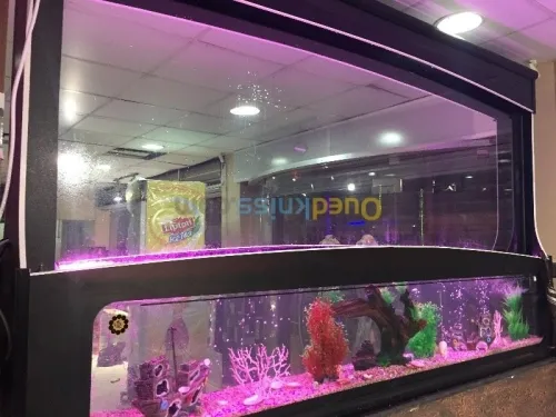 Décoration aquatique 
