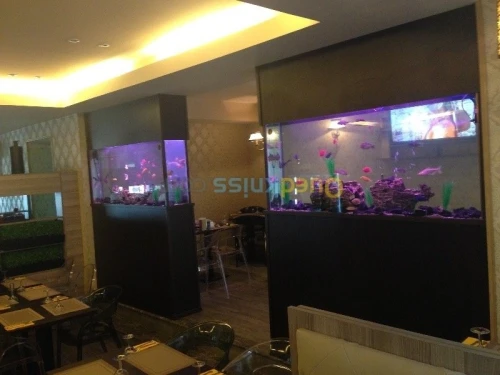 Décoration aquatique 