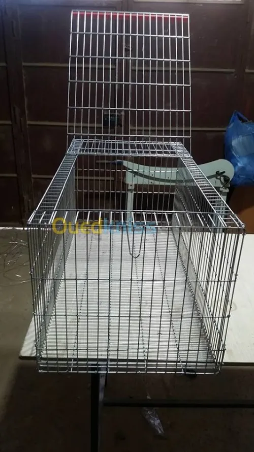 Lapin