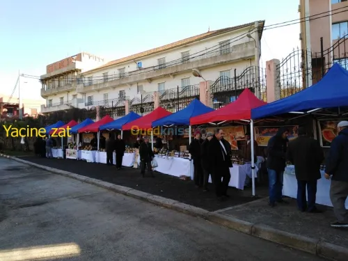 parasol transat