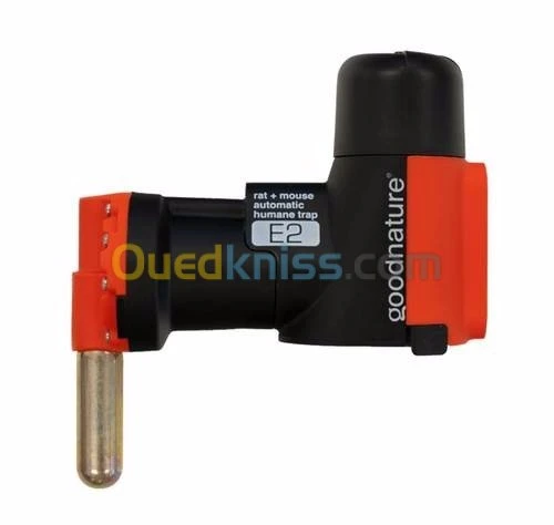 deratisation professionnel 