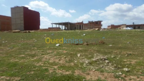 Vente Terrain Saïda Ouled khaled