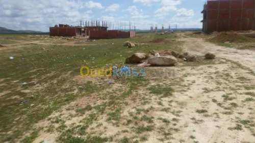 Vente Terrain Saïda Ouled khaled