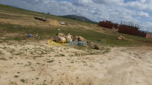 Vente Terrain Saïda Ouled khaled