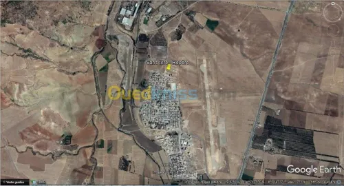 Vente Terrain Saïda Ouled khaled