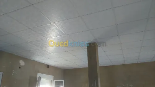 Décoration en plaque de platre ba 13