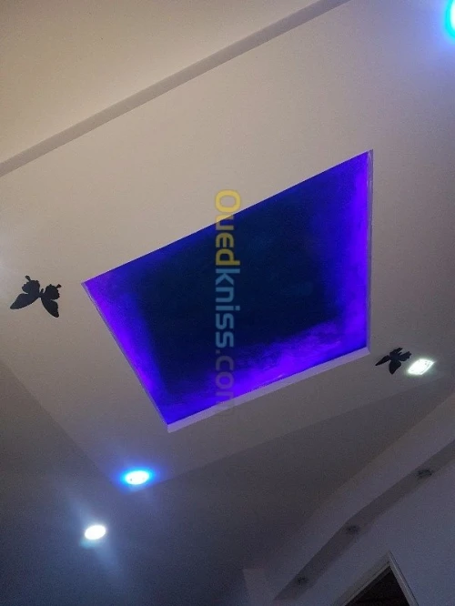 Aménagement intérieur et extérieur en placo